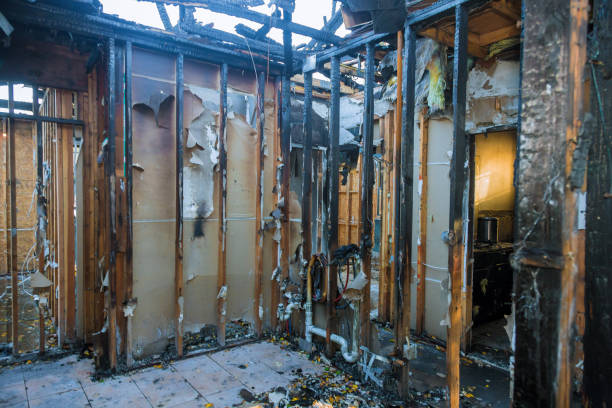 Professional Fire Damage Repair technician working in Buckeystown, MD
